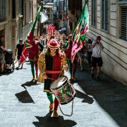 palio 2022-13